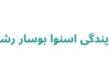 نمایندگی اسنوا بوسار رشت