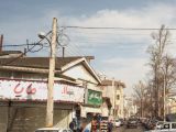 گل فروشی مایا رشت
