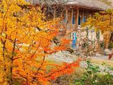 اقامتگاه بوم گردی بهشت رشت