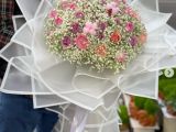 گل فروشی کاملیا رشت 