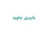 باربری جاوید