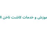 آموزش و خدمات کاشت ناخن الی