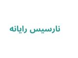 نارسیس رایانه
