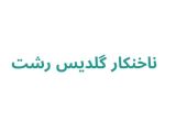 ناخنکار گلدیس رشت
