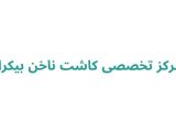 مرکز تخصصی کاشت ناخن بیکران