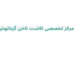 مرکز تخصصی کاشت ناخن گیتانوش