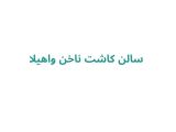 سالن کاشت ناخن واهیلا