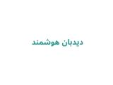 دیدبان هوشمند