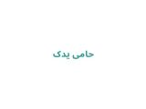 حامی یدک