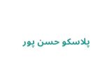 پلاسکو حسن پور