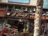 گل فروشی در رشت