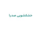 خشکشویی صدرا