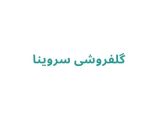 گلفروشی سروینا	