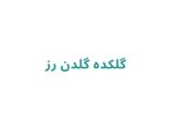 گلکده گلدن رز 