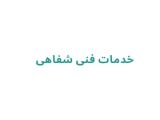 خدمات فنی شفاهی
