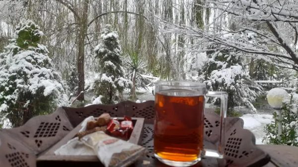 باغ و سفره خانه زرین رشت