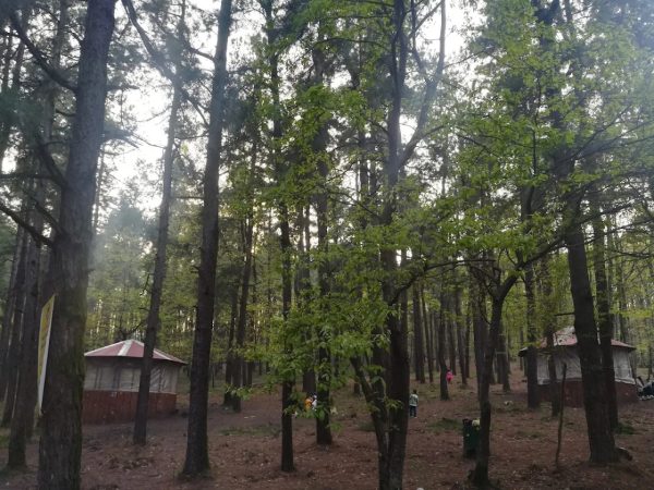 پارک جنگلی سراوان رشت
