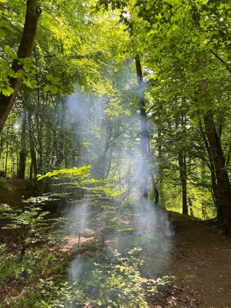 پارک جنگلی سراوان رشت
