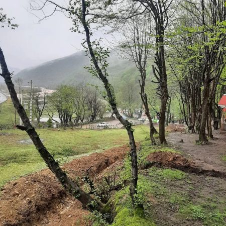 پارک جنگلی ساحلی درنیکا