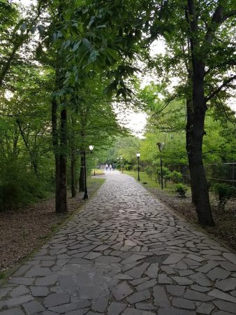 پارک مفاخر رشت