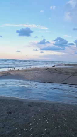 جنگل گیسوم رشت
