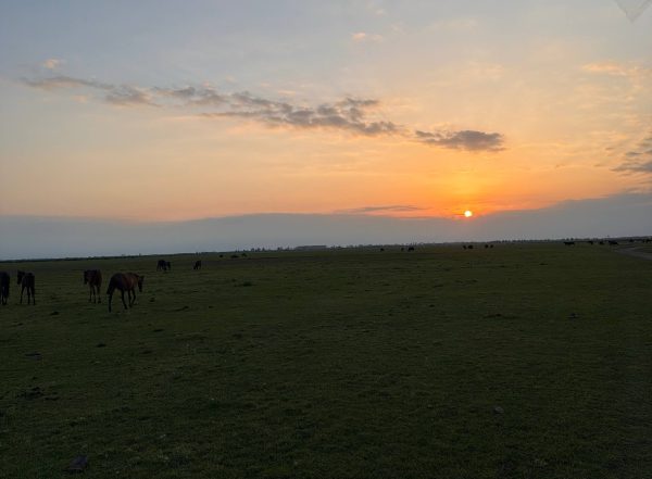 روستای گردشگری جیر سر باقر خاله رشت