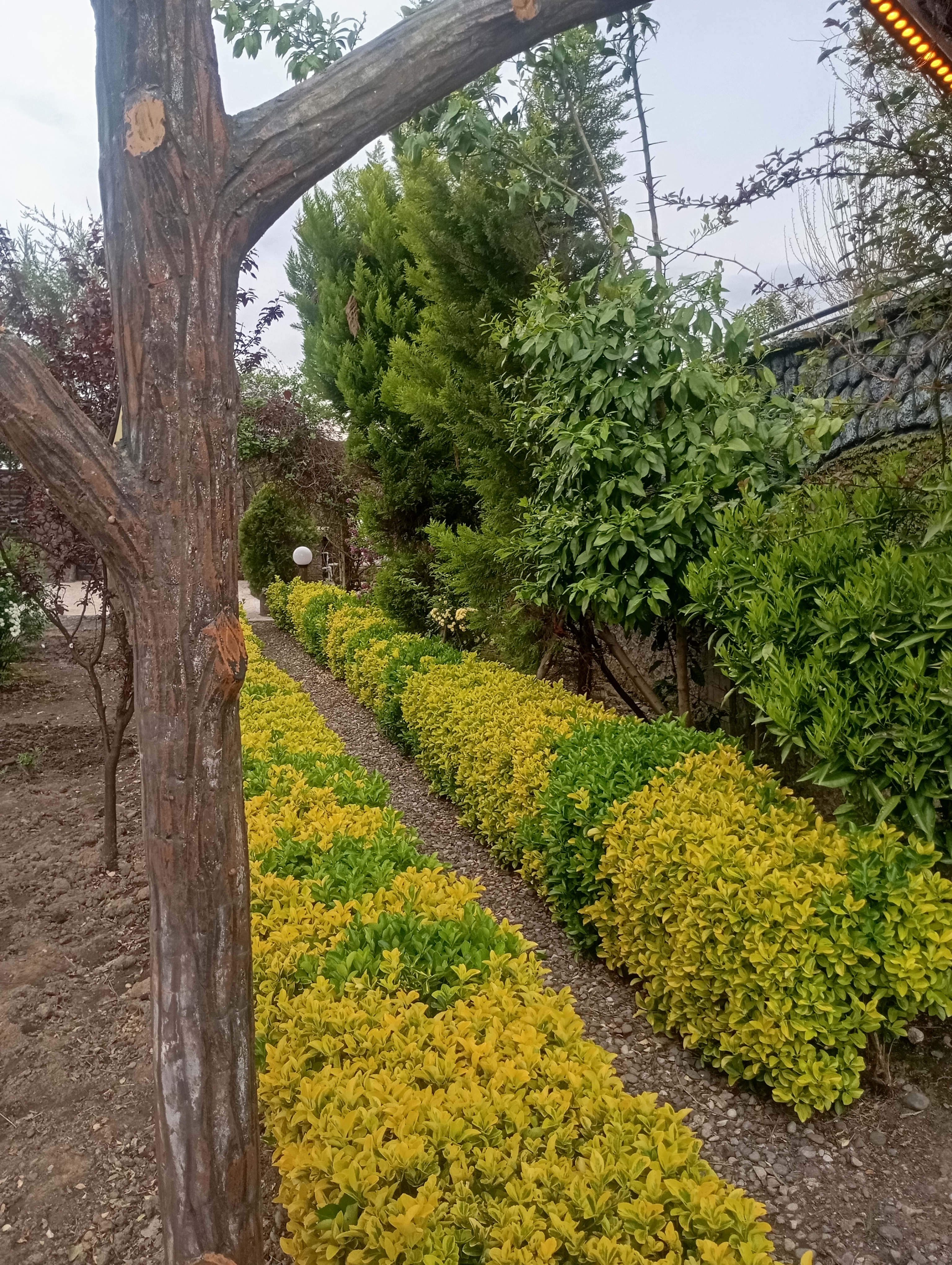 باغ سوییت شکار اسطلخ - تصویر 3