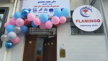 بهترین دامپزشکی رشت