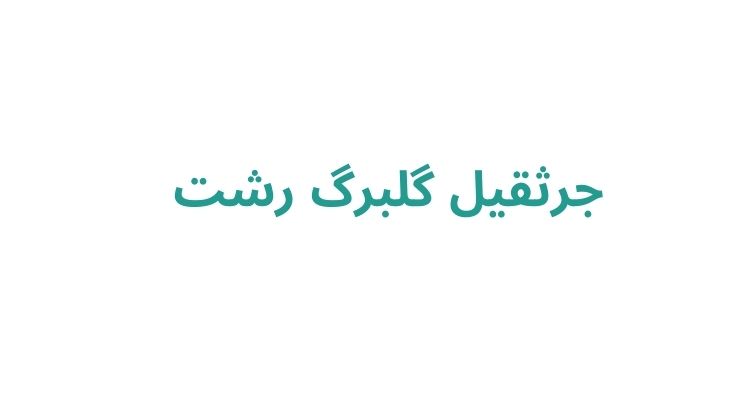 جرثقیل گلبرگ رشت