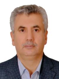 دکتر ایوب ارشادی