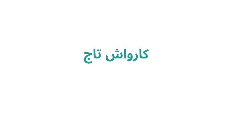 بهترین کارواش رشت