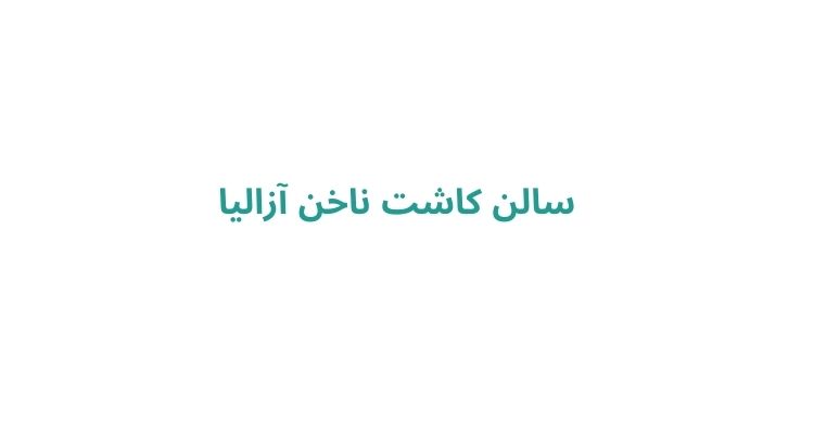 بهترین ناخنکار رشت