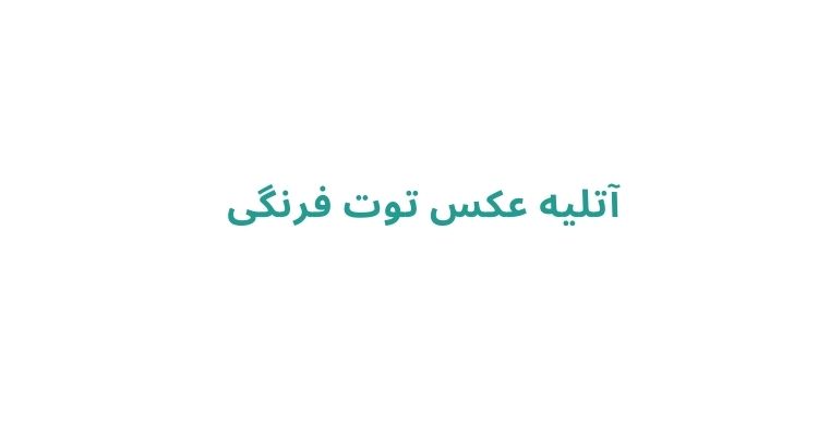 آتلیه‌ های عکاسی در رشت