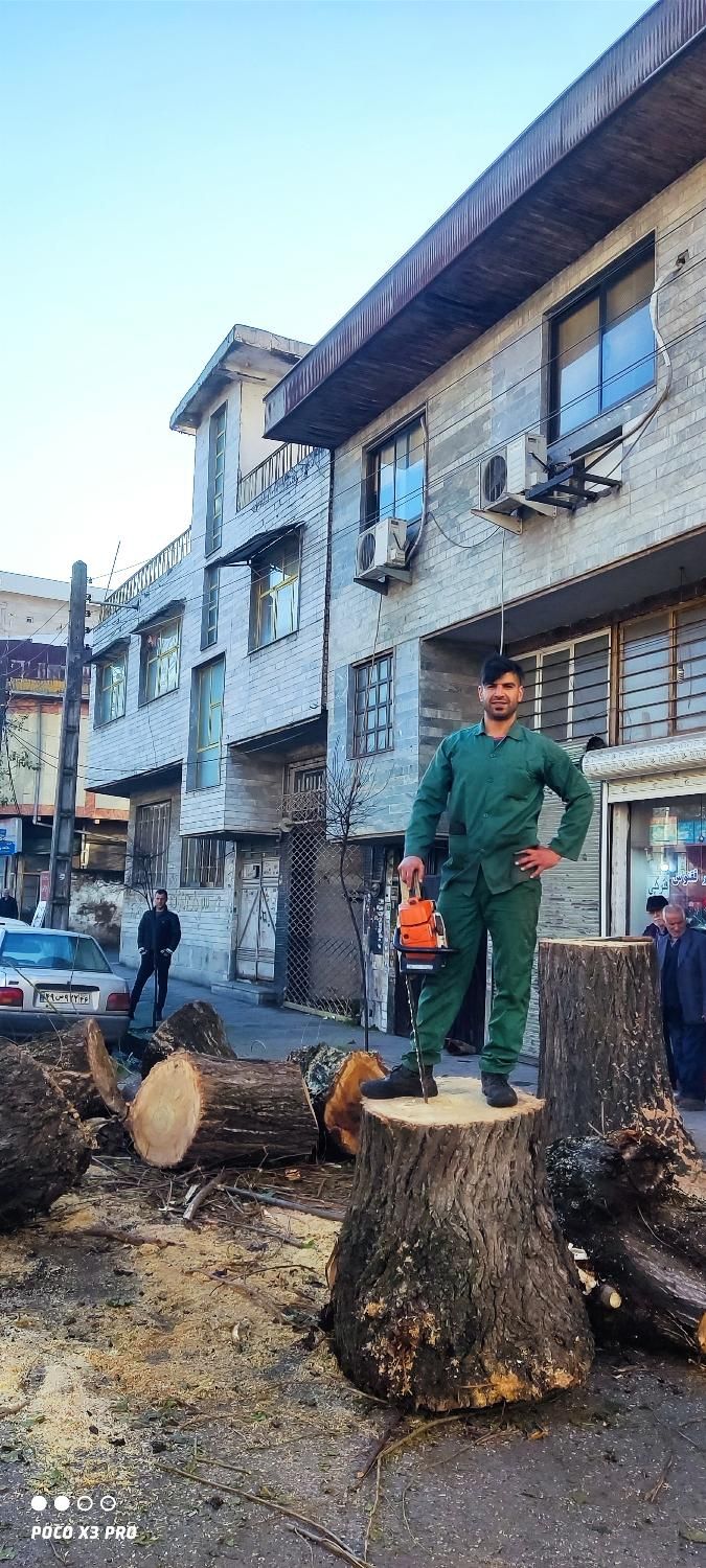 باغبان حرفه‌ ای در رشت