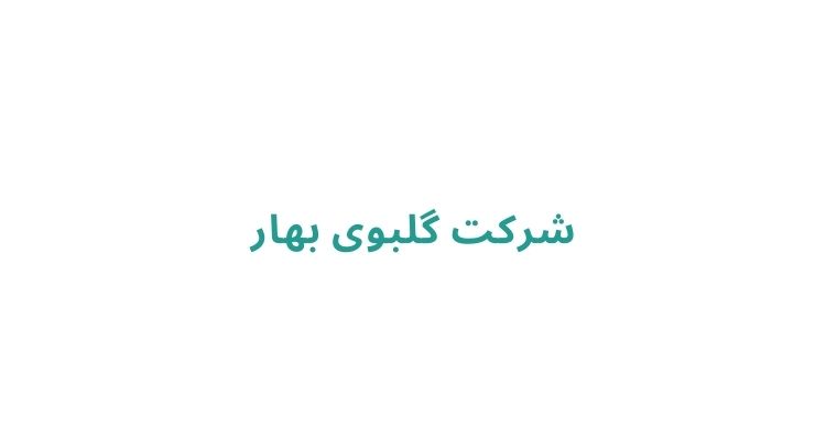 خدمات پرستار بیمار در منزل رشت