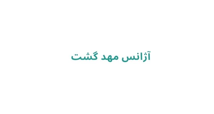 آژانس های مسافرتی رشت