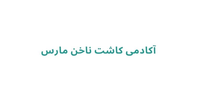 خدمات کاشت ناخن در رشت