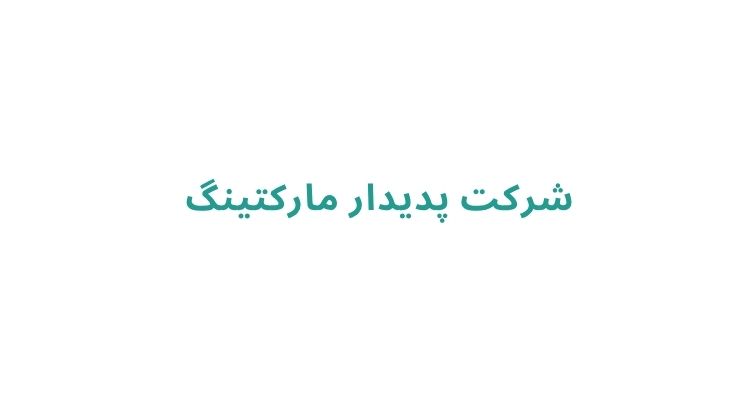بهترین شرکتهای طراحی سایت در رشت