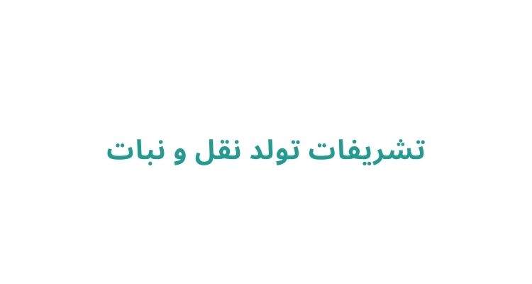 هزینه بادکنک آرایی در رشت