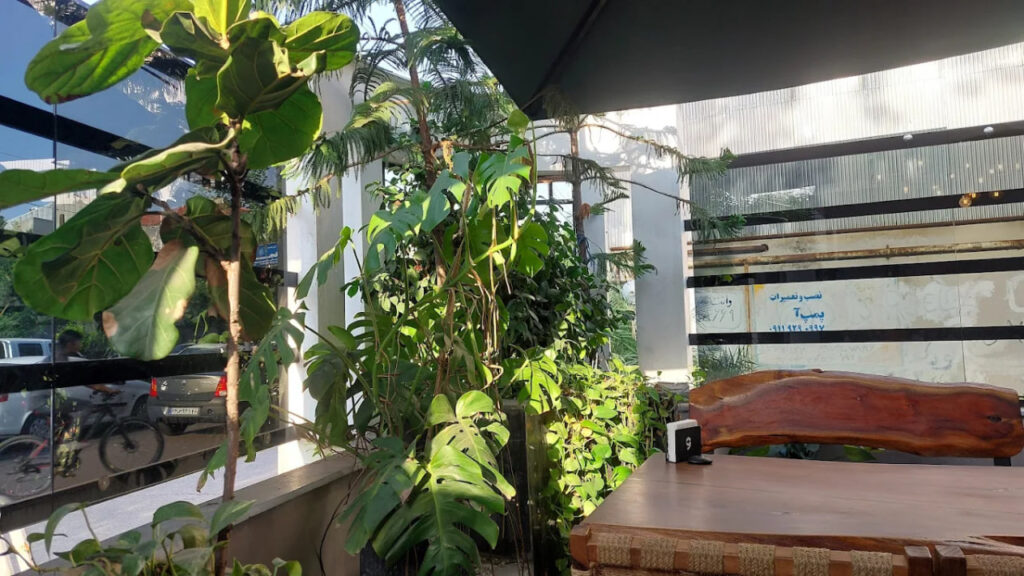 تصویر گالری