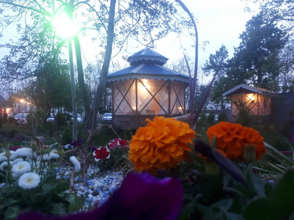 تصویر گالری