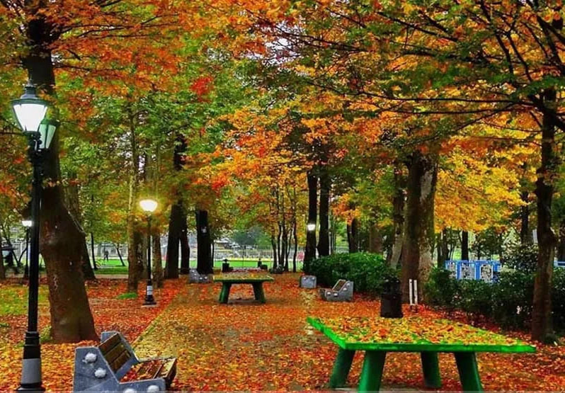 تصویر گالری