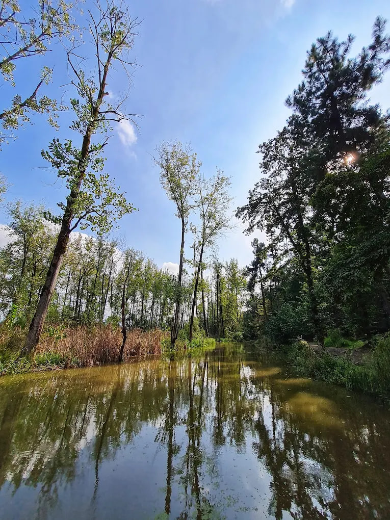 پارک جنگلی سراوان رشت