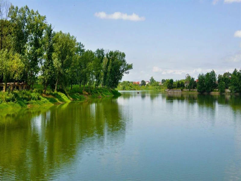 تالاب عینک رشت | راهنمای کامل بزرگترین تالاب شهری ایران