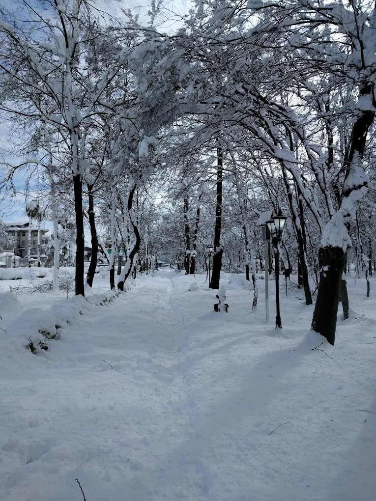 باغ محتشم رشت 1