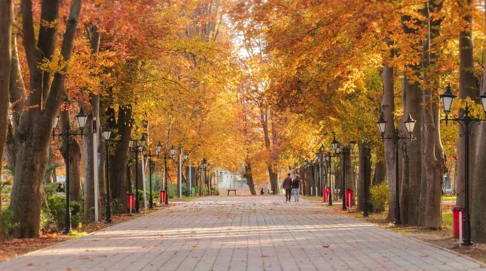 عمارت کلاه فرنگی 2