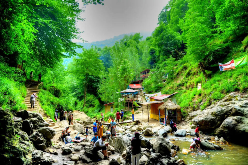 تصویر گالری