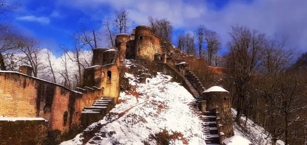 تصویر گالری