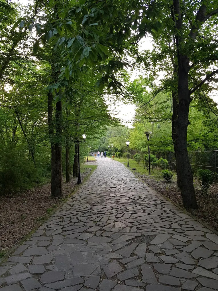 پارک مفاخر رشت