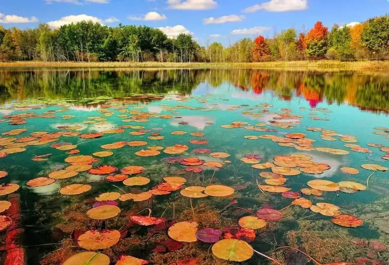 تالاب انزلی